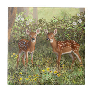 Cute Whitetail Hjort Twin Fawns Kakelplatta