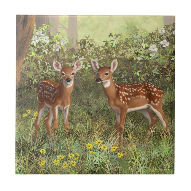 Cute Whitetail Hjort Twin Fawns Kakelplatta (Framsidan)