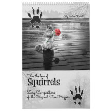 Cute Wildlife Squirrel Älskare 12 månader