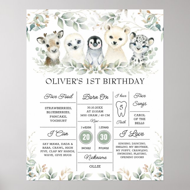 Cute Winter Artic Animals - första födelsedagsmils Poster (Framsidan)