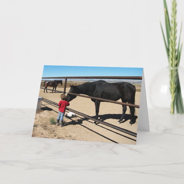 Cute Woman Student Equine D.V.M. Grattisar Kort (Framsida)