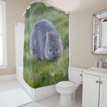 Cute Wombat Wildlife Animal Australia Grönt