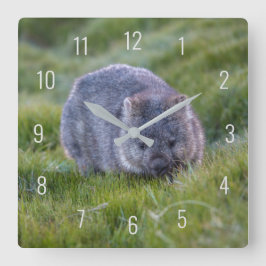Cute Wombat Wildlife Animal Australia Grönt Fyrkantig Klocka