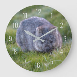 Cute Wombat Wildlife Animal Australia Grönt Stor Klocka