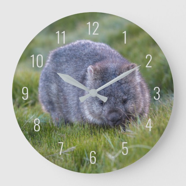 Cute Wombat Wildlife Animal Australia Grönt Stor Klocka (Framsida)