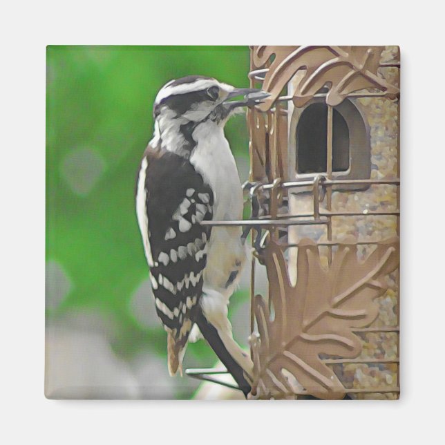 Cute Woodpecker Bird på Birdhouse Magnet (Framsidan)