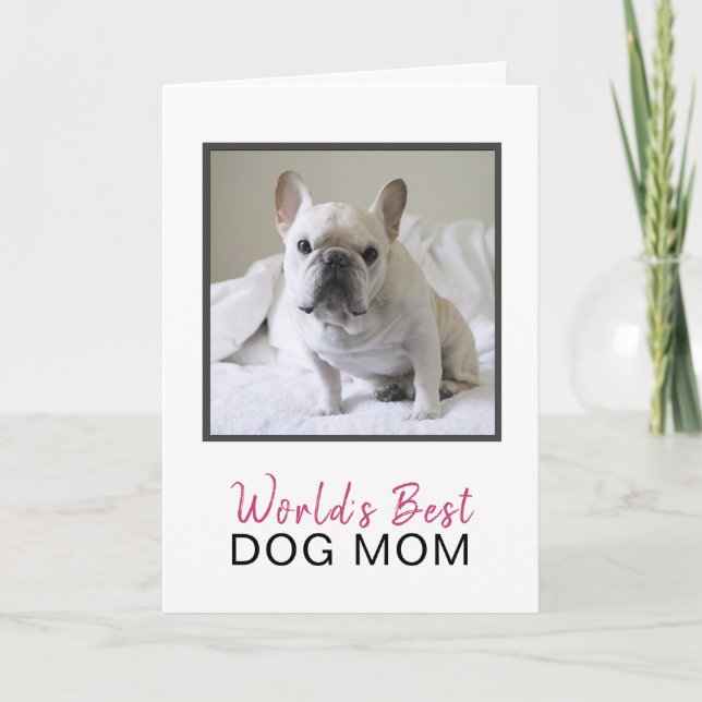 Cute World's Best Hund Mamma Photo Mors dag Kort (Framsida)
