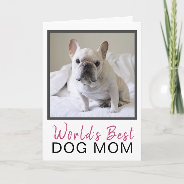 Cute World's Best Mamma Hund Photo Birthday Kort (Framsida)