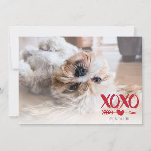 Cute XOXO Hjärthjärtans dag-fotokort Julkort