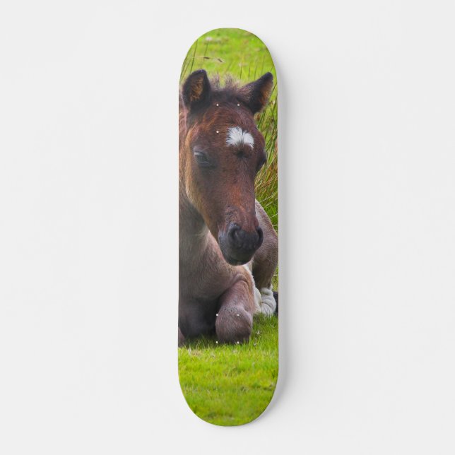 Cute Yearling Foal skateboard deck (Framsida)