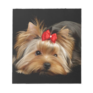Cute Yorkie Anteckningsblock