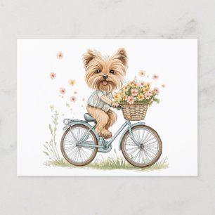 Cute Yorkie Hund Biking Vår blommor Vykort