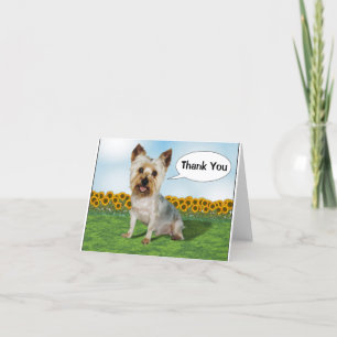 Cute Yorkie med solblommor Tack Kort