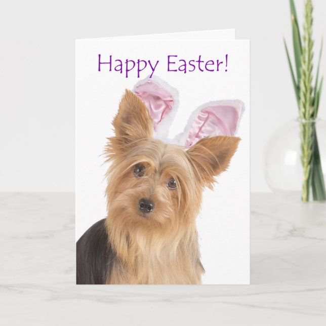 Cute Yorkie Påsk Card Helgkort (Framsida)