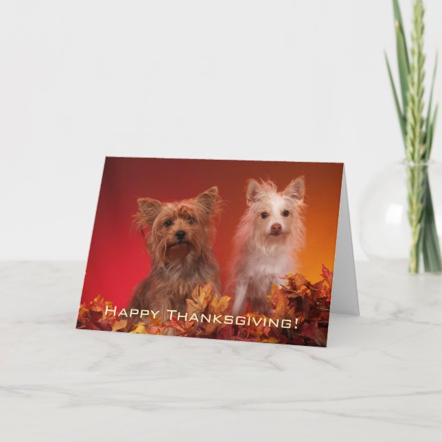 Cute Yorkie Thanksgiving Greeting Cards Helgkort (Framsida)
