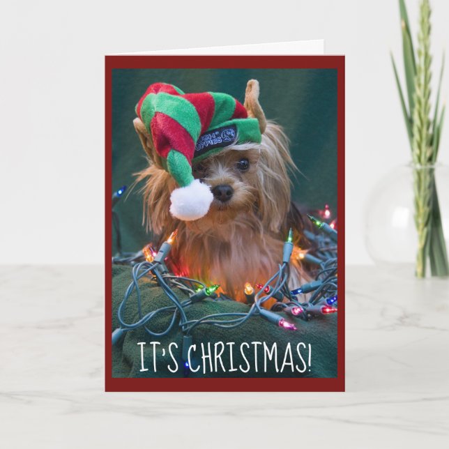 Cute Yorkie Wearing Elf Hat Helgkort (Framsida)