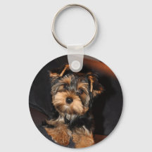Cute Yorkie Yorkshire Terrier Hund Keychain