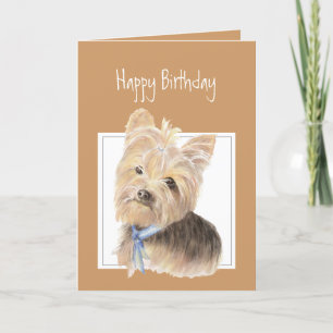 Cute Yorkie, Yorkshire Terrier, Hund, Pet Kort