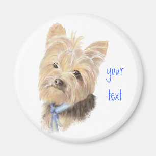 Cute Yorkie, Yorkshire Terrier, Hund, Pet Magnet