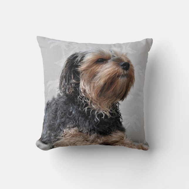 Cute Yorkie Yorkshire Terrier Puppy Hund Kudde (Framsida)
