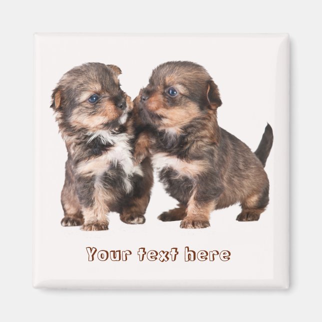 Cute Yorkshire Puppies Magnet (Framsidan)