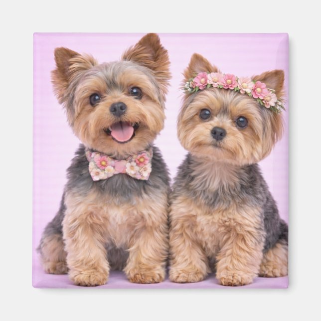 Cute Yorkshire Terrier Couple Valentine Magnet (Framsidan)