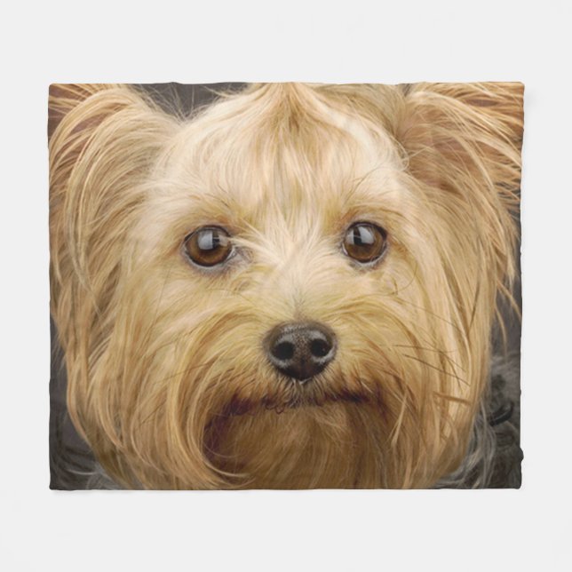 Cute Yorkshire Terrier Fleecefilt (Framsidan (Horisontell))