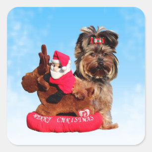 Cute Yorkshire Terrier God jul Fyrkantigt Klistermärke