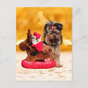 Cute Yorkshire Terrier God jul Helg Vykort