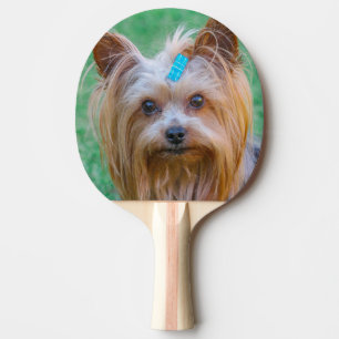 Cute Yorkshire Terrier Hund Head Pingisracket