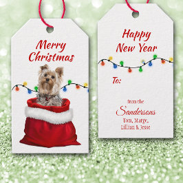 Cute Yorkshire Terrier-Hund i Santa Bag Presentetikett