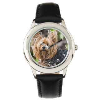 Cute Yorkshire Terrier-Hund i trädgård Armbandsur