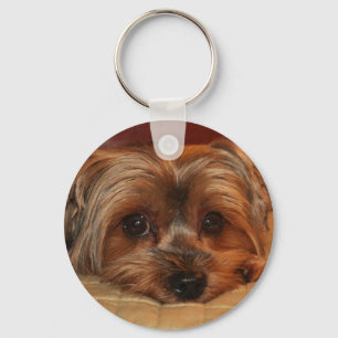 Cute Yorkshire Terrier Hund Nyckelring