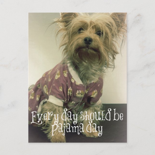 Cute Yorkshire Terrier i Pajamas med citat Vykort (Framsida)