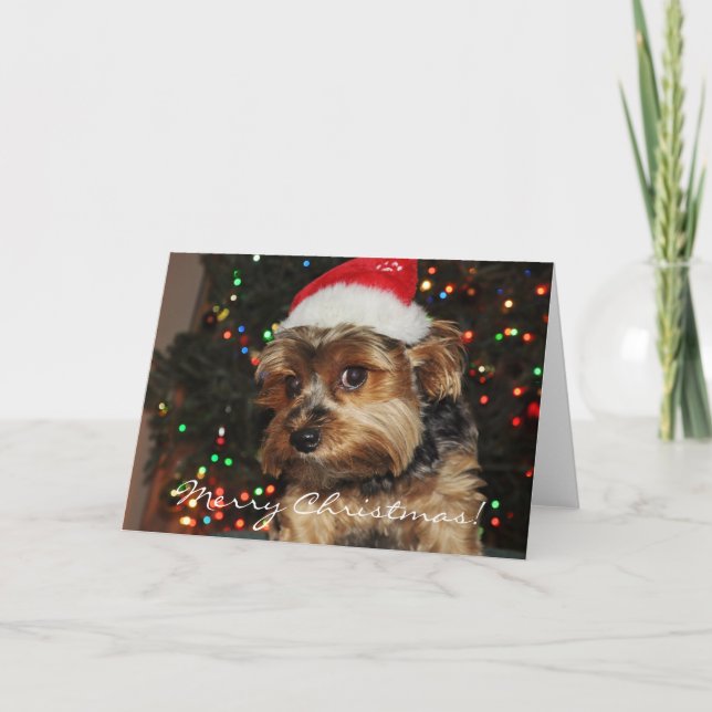 Cute Yorkshire Terrier-julkort Helgkort (Framsida)