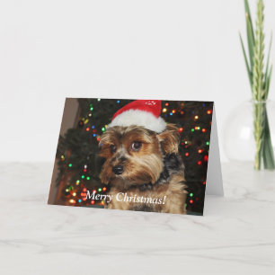 Cute Yorkshire Terrier-julkort Helgkort