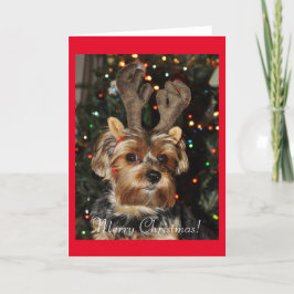 Cute Yorkshire Terrier med Reindeer Antlers Helgkort