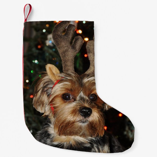 Cute Yorkshire Terrier med Reindeer Antlers Liten Julstrumpa (Framsidan)