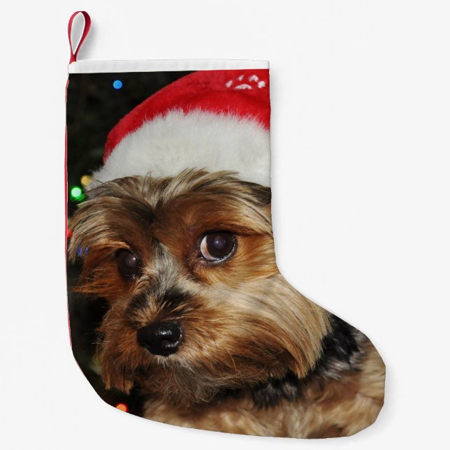 Cute Yorkshire Terrier med Santa Hat Liten Julstrumpa (Framsidan)