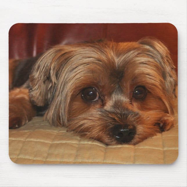 Cute Yorkshire Terrier Mousepad Musmatta (Framsidan)