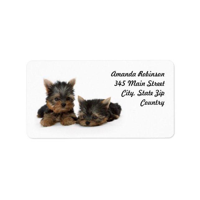 Cute Yorkshire Terrier puppies Adressetikett (Framsidan)