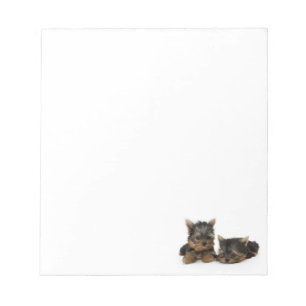 Cute Yorkshire Terrier puppies Anteckningsblock
