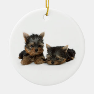 Cute Yorkshire Terrier puppies Julgransprydnad Keramik