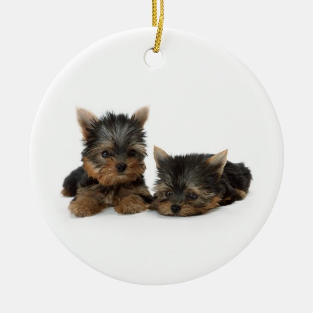Cute Yorkshire Terrier puppies Julgransprydnad Keramik (Framsidan)