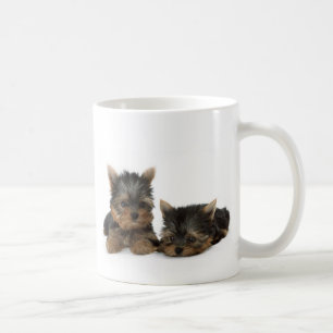 Cute Yorkshire Terrier puppies Kaffemugg