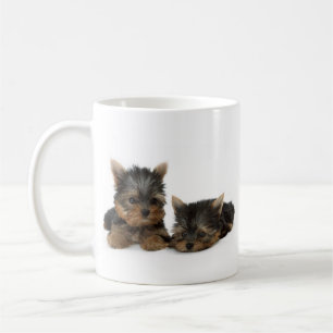 Cute Yorkshire Terrier puppies Kaffemugg