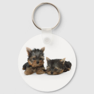 Cute Yorkshire Terrier puppies Nyckelring
