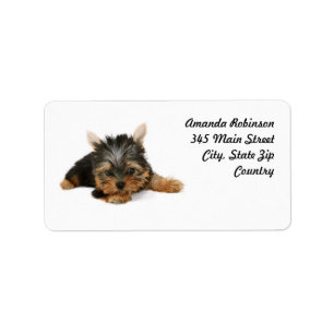 Cute Yorkshire Terrier Puppy Adressetikett