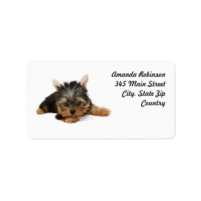 Cute Yorkshire Terrier Puppy Adressetikett (Framsidan)