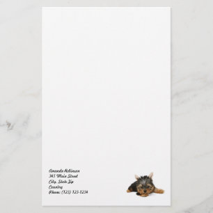 Cute Yorkshire Terrier Puppy Brevpapper